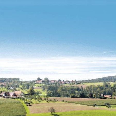 Gasthaus Pension Heidhof Freiamt Exteriör bild